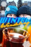 Winter Wandeling in Hasselt